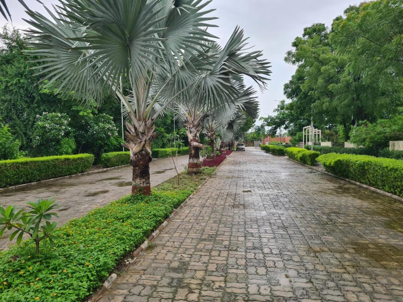 Club Azzurro Resort - Nalsarovar Nānodra Exterior foto